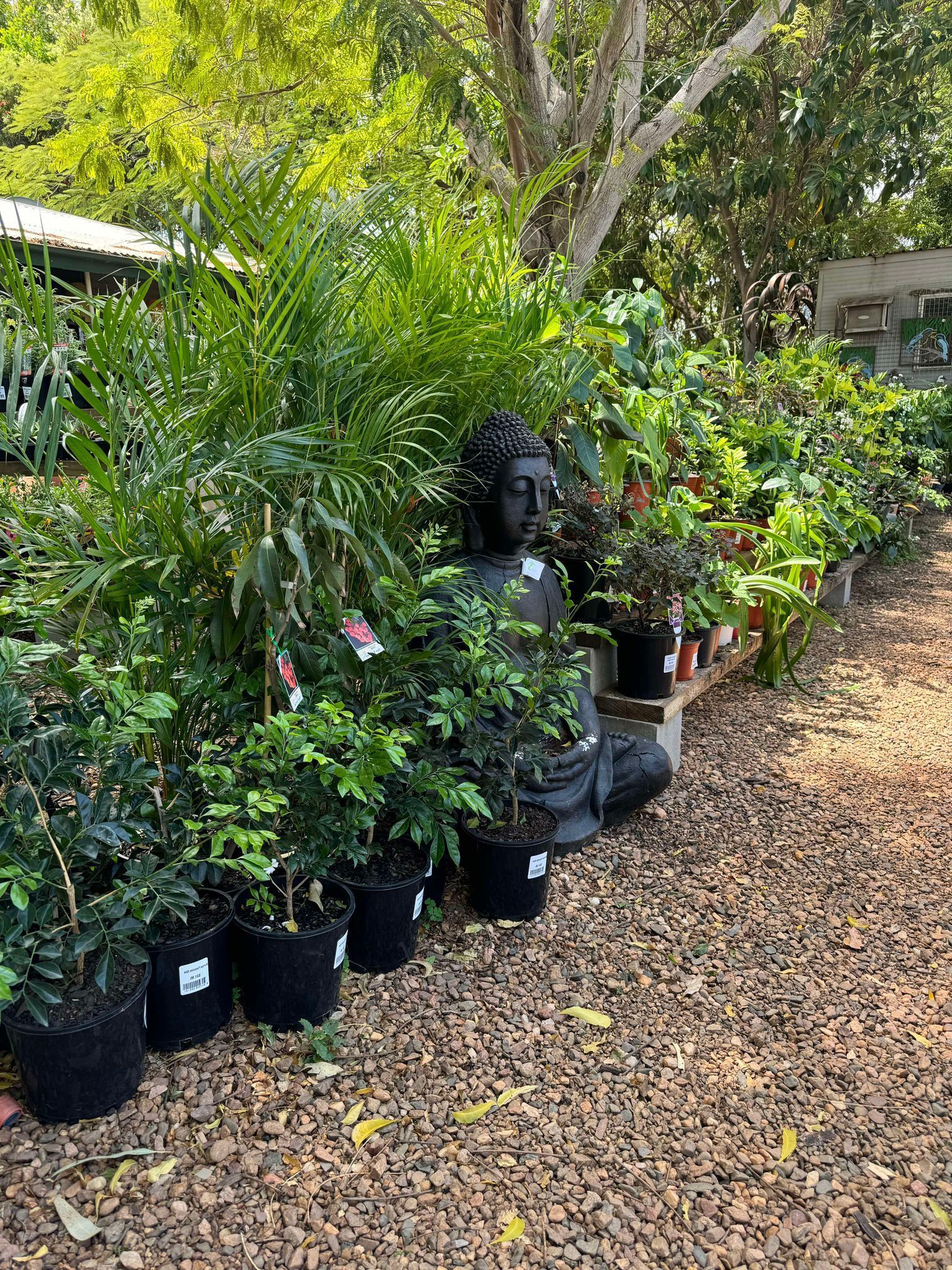 A Card That Says Carter's Red on It — Leichhardt River Nursery & Skip Bin Hire In Kalkadoon, QLD