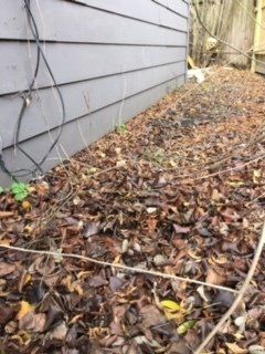 Grading & drainage incorrect. Water penetration and structural damage.