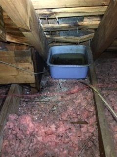 Homeowner special!! I can repair my own roof leak with a bucket in the attic.