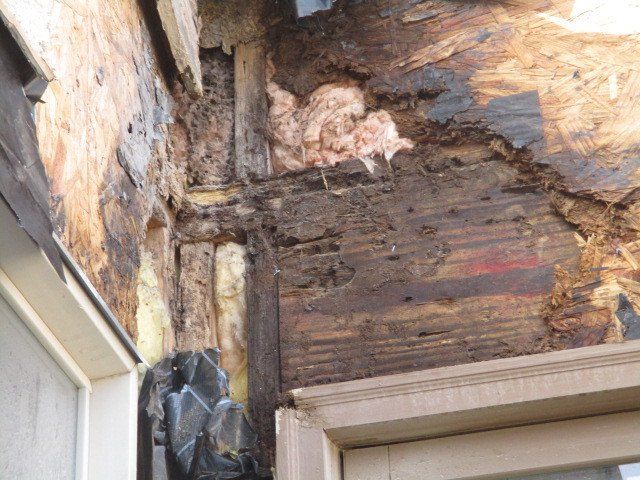 Structural water damage beneath exterior stucco cladding.