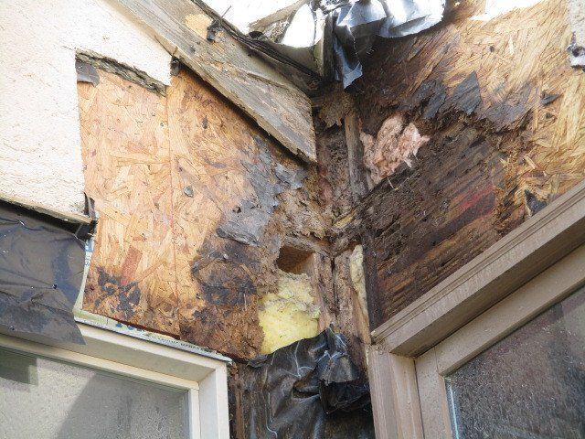 Structural water damage beneath exterior stucco cladding.