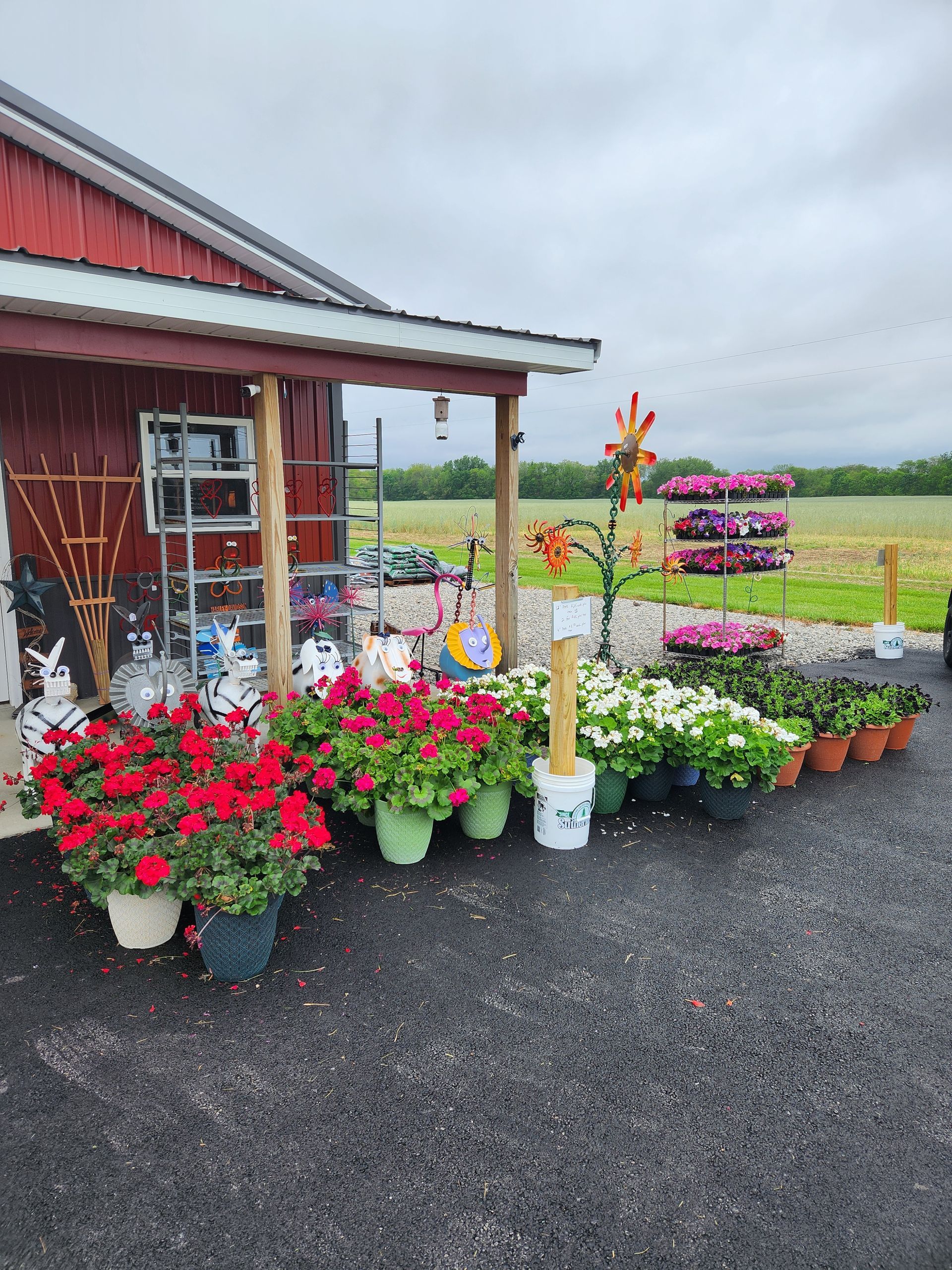 A bunch of potted plants are outside of a building