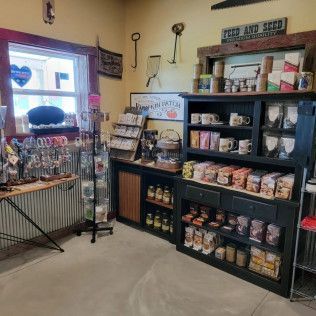 A store filled with shelves filled with lots of items.