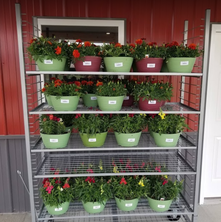 A shelf full of potted plants with one that says ' a ' on it