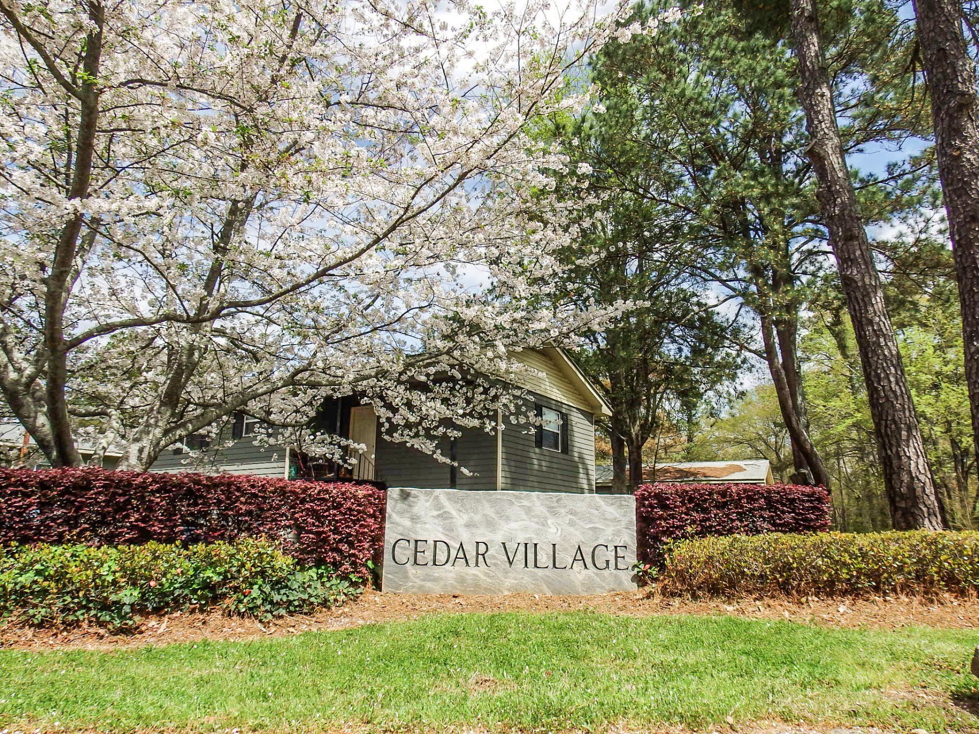 Cedar Village Apartment Rental in Athens, Georgia
