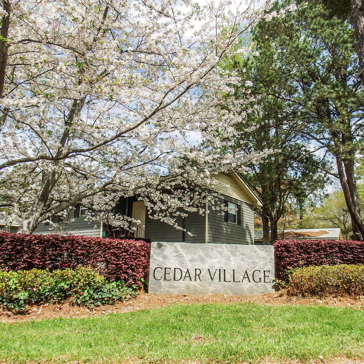 Rentals in Athens, Georgia