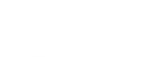 SAI Architecture White Logo.