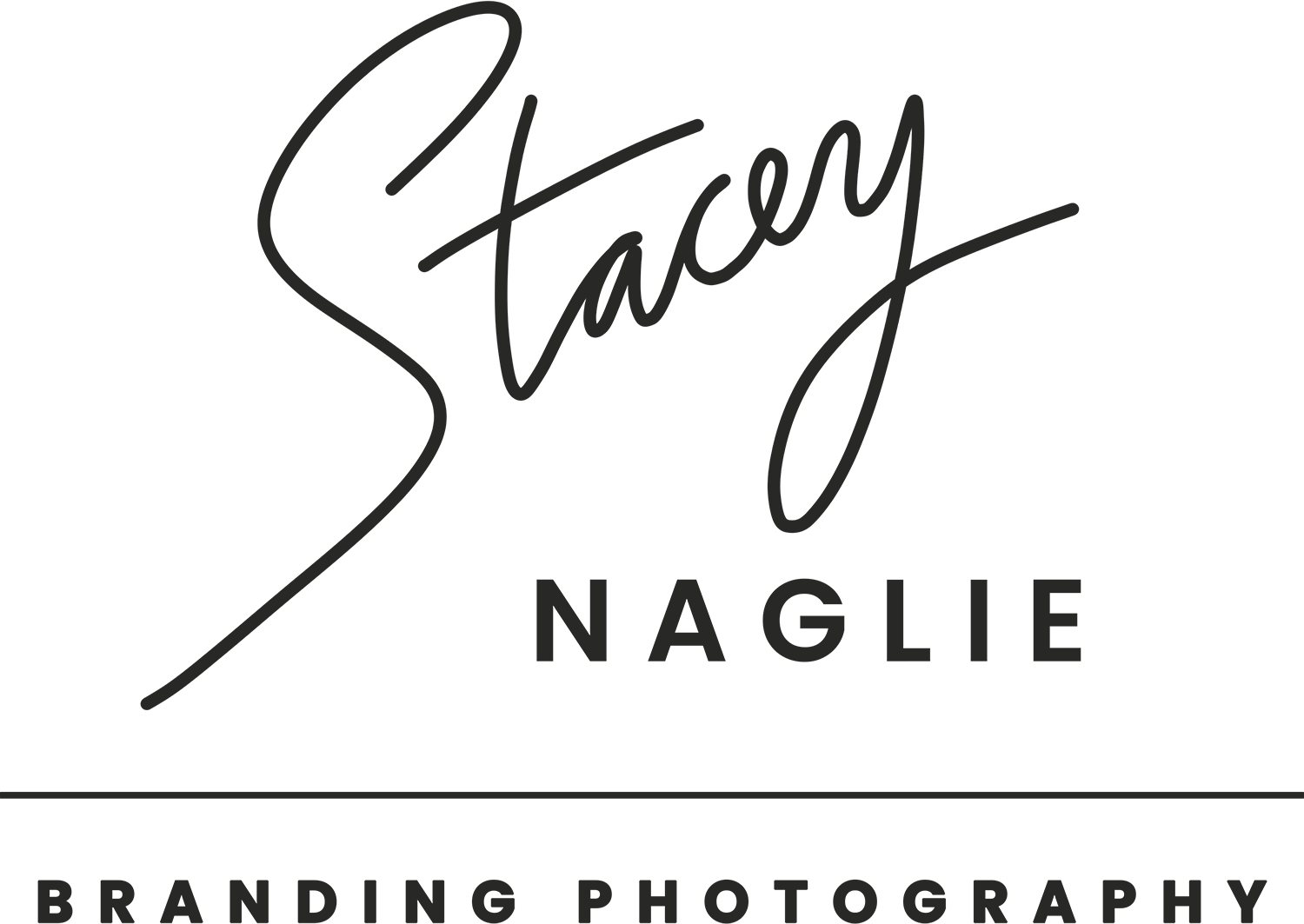 Toronto Photography Services | Stacey Naglie Photography logo