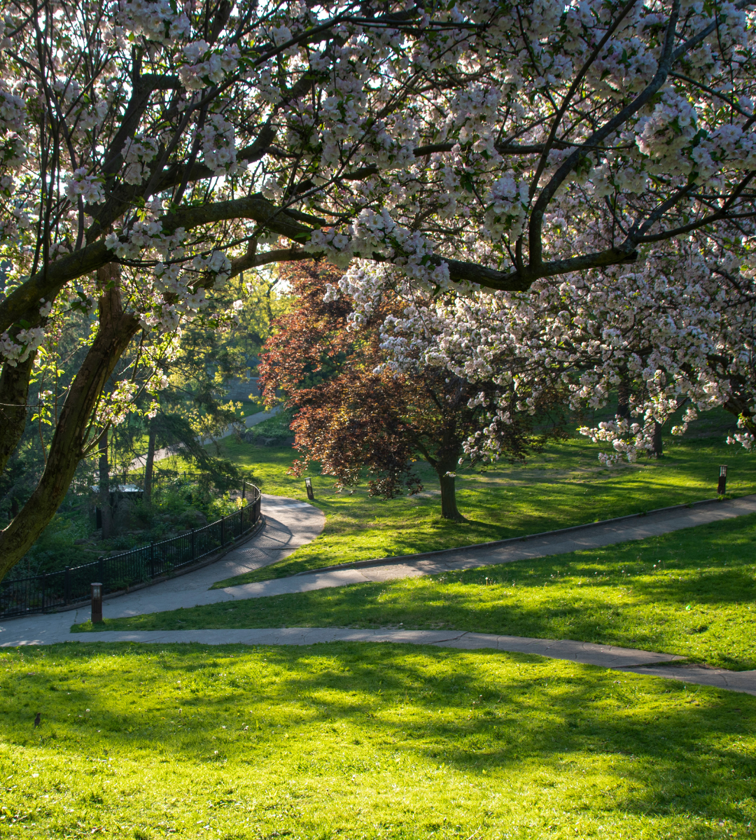 High Park in Toronto Ontorio