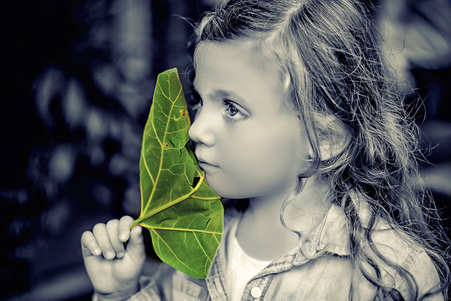 Young girl with Leaf |  Child photography | Stacey Naglie Toronto