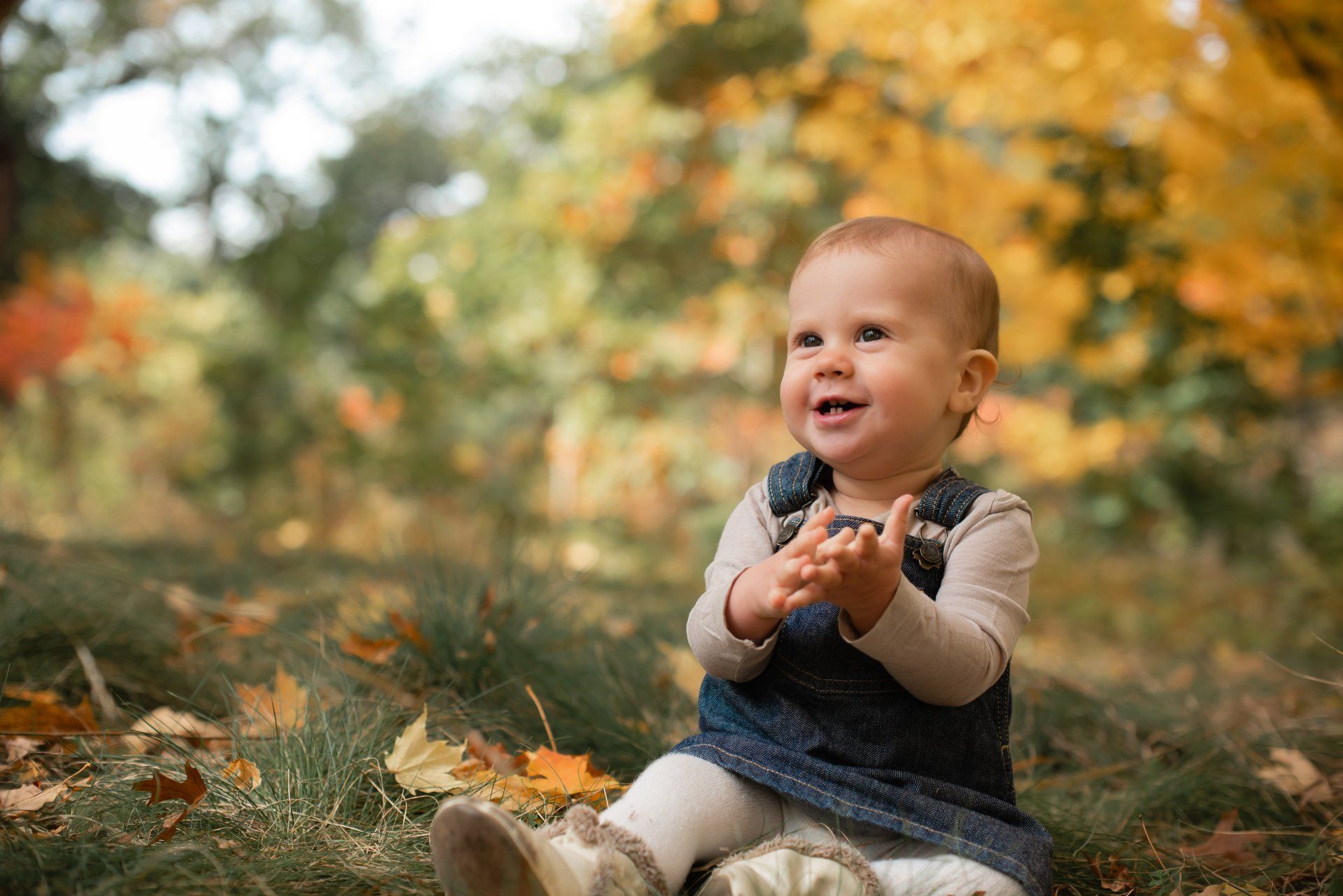 Photo of a toddler sitting on the grass in a leaf covered field