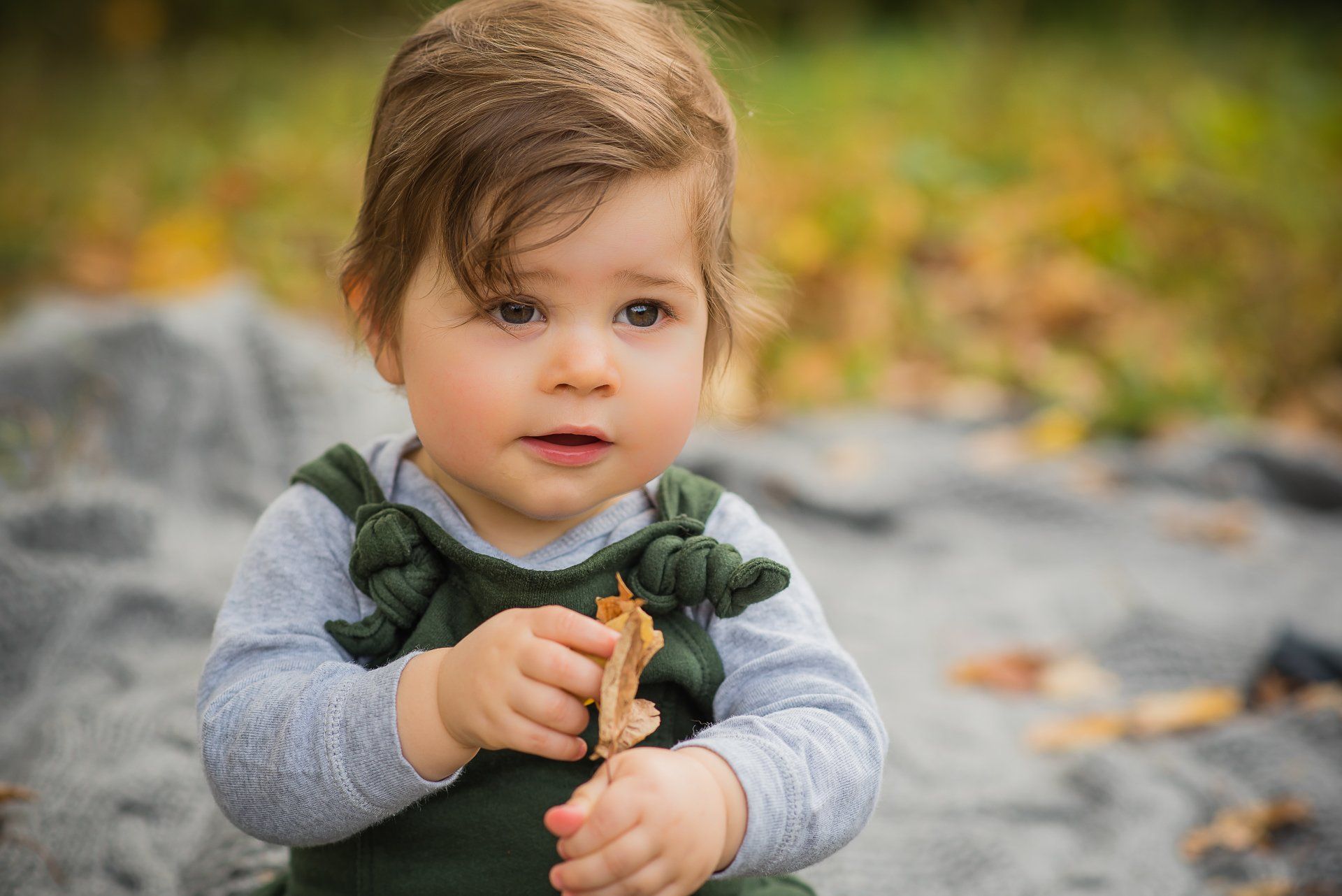 Photo of a toddler sitting on a blanket in a leaf covered field