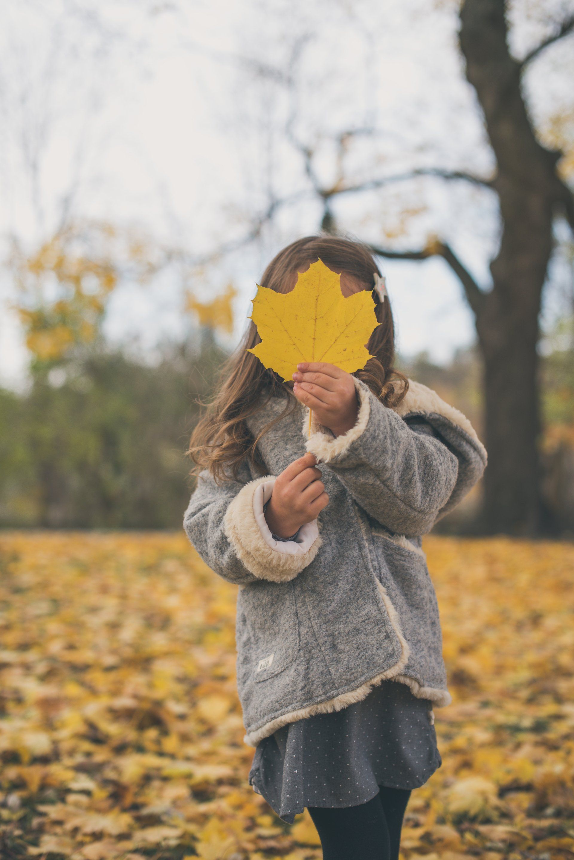 Photo of a young girl holding up a large leaf in front of her face while standing in a leaf covered field