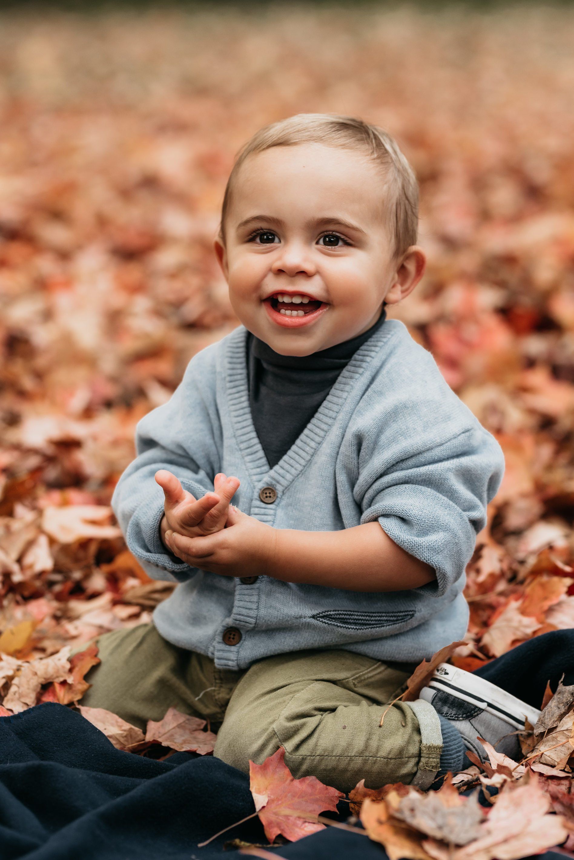 Photo of toddler sitting field of leaves for family photography
