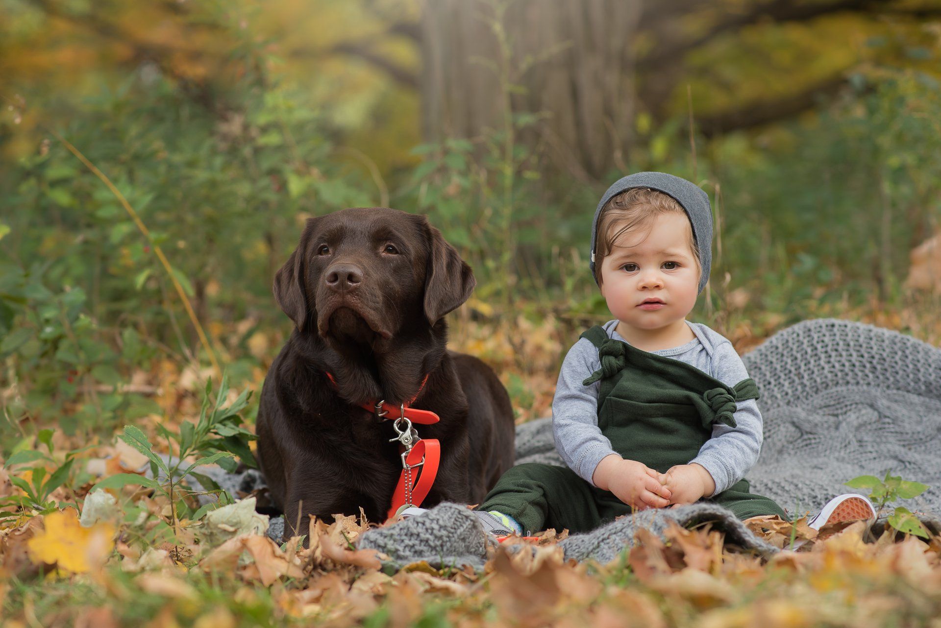 Photo of a toddler sitting next to a large dog in a leaf covered field
