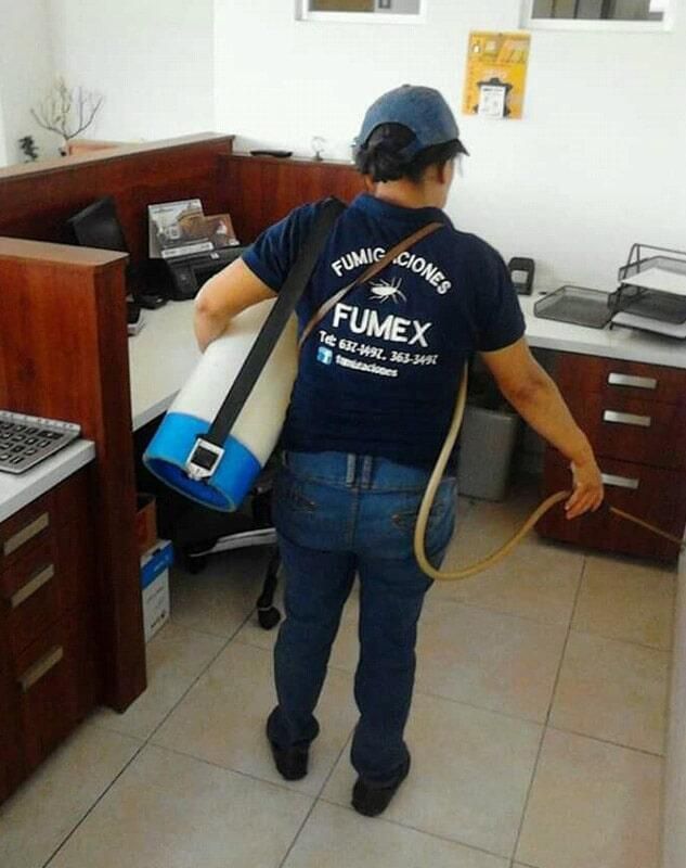 FUMIGACIONES FUMEX