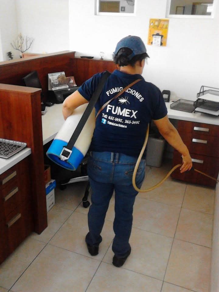 FUMIGACIONES FUMEX
