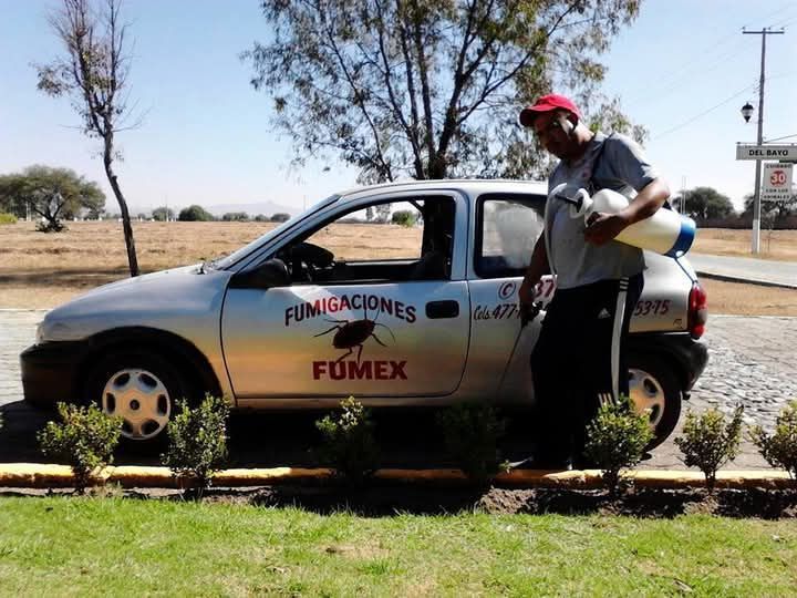FUMIGACIONES FUMEX