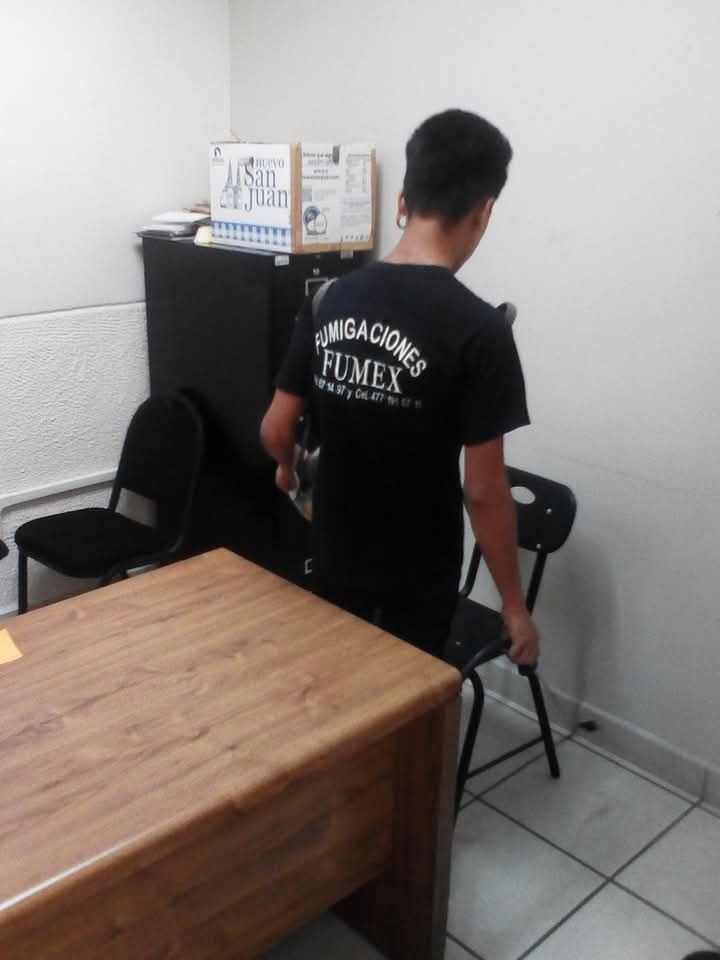 FUMIGACIONES FUMEX