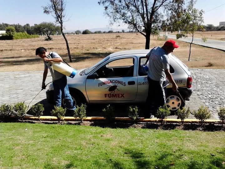 FUMIGACIONES FUMEX