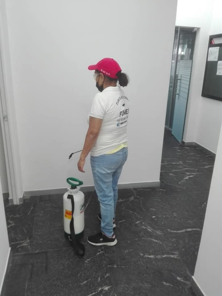 FUMIGACIONES FUMEX