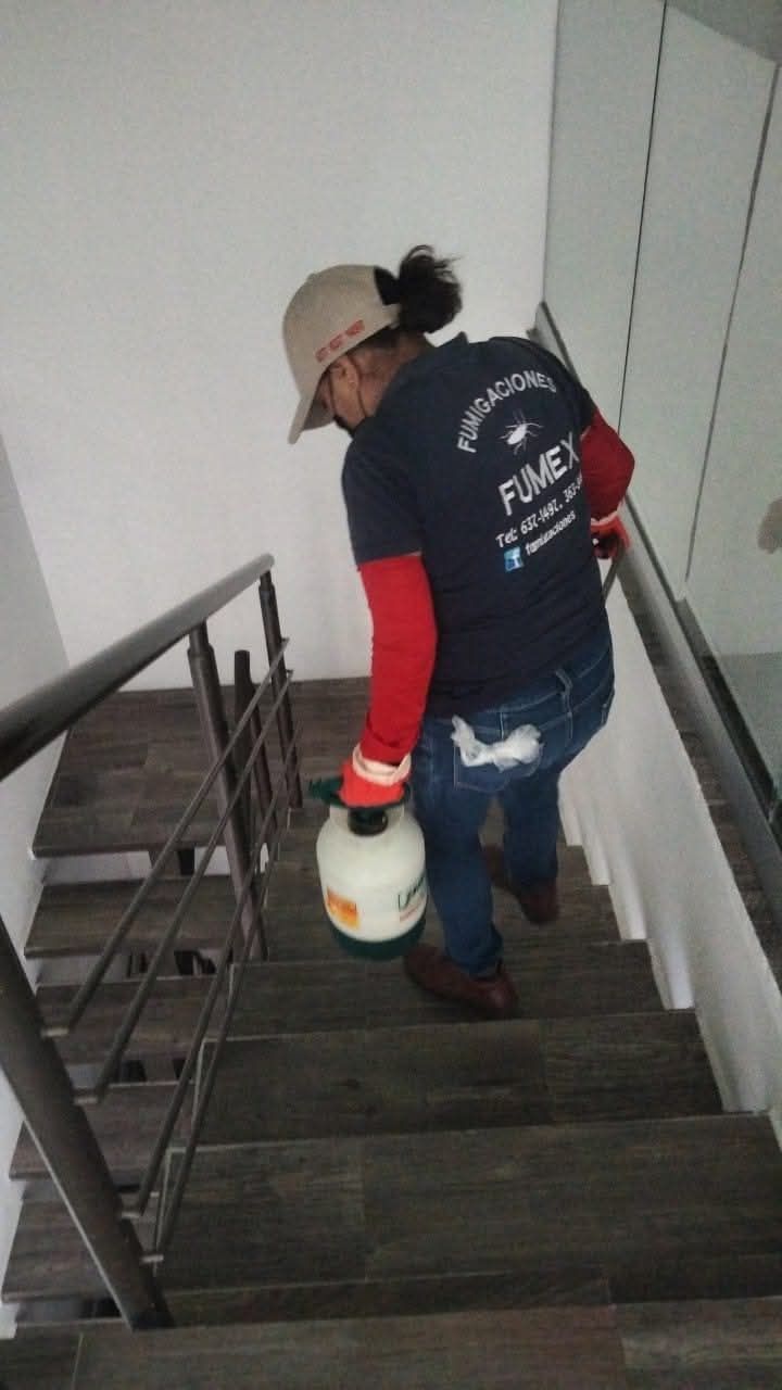 FUMIGACIONES FUMEX