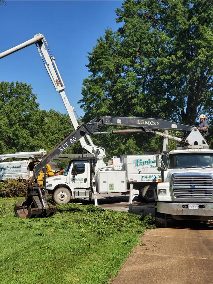 St. Louis St. Charles Tree Trimming Experts