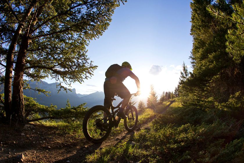 A person is riding a bike on a trail in the woods