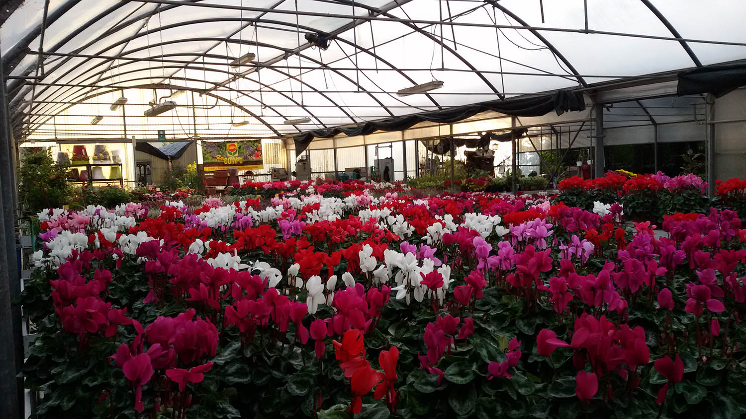 giardiniere con tosaerba