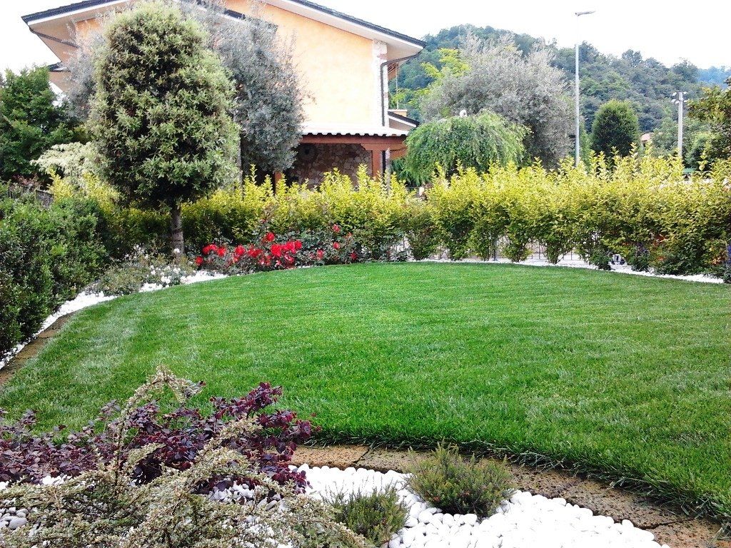 giardino domestico ben curato