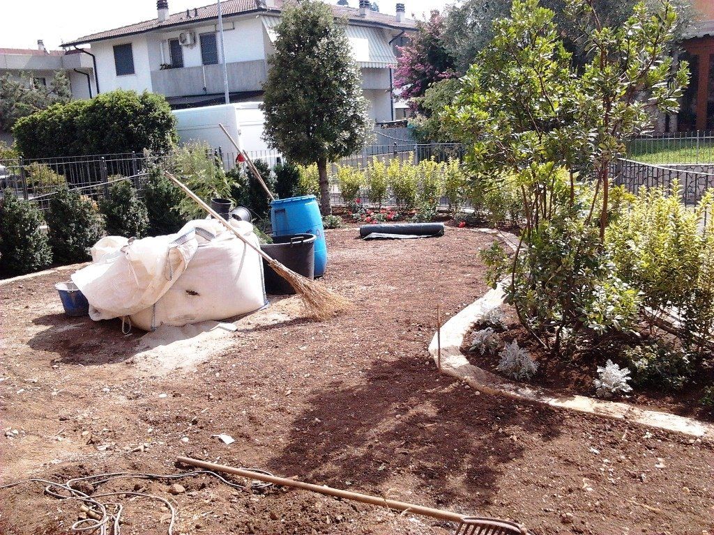 realizzazione giardino di casa con siepi