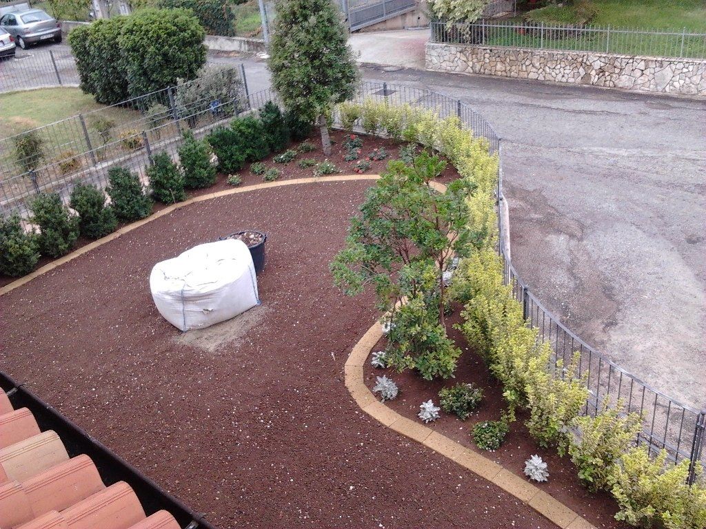 realizzazione siepe in giardino