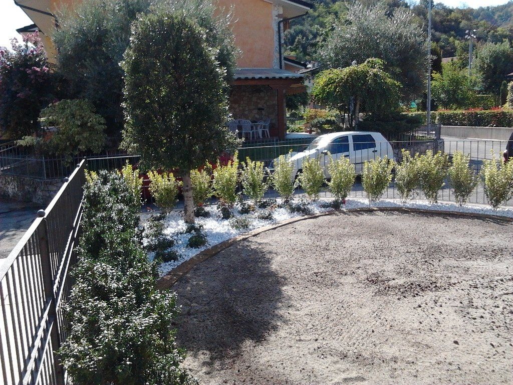 piantumazione siepi in giardino