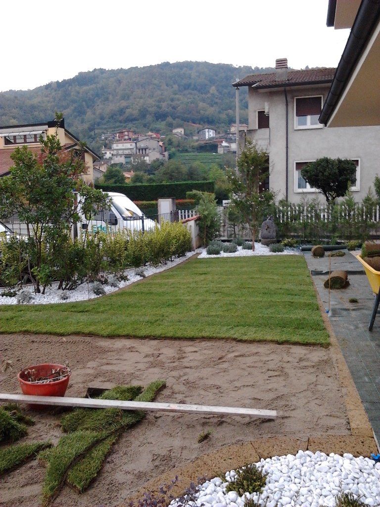 realizzazione giardino con tappeto erboso