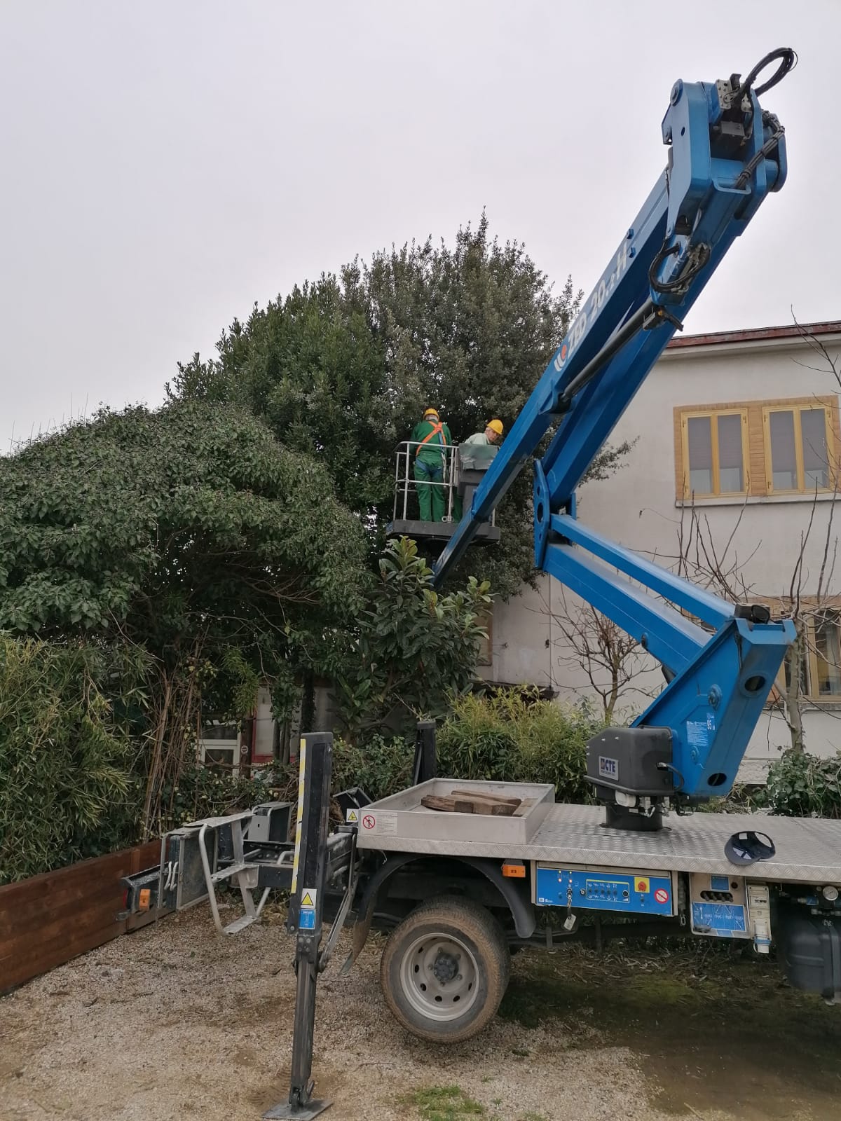 giardiniere durante la potatura di un giardino
