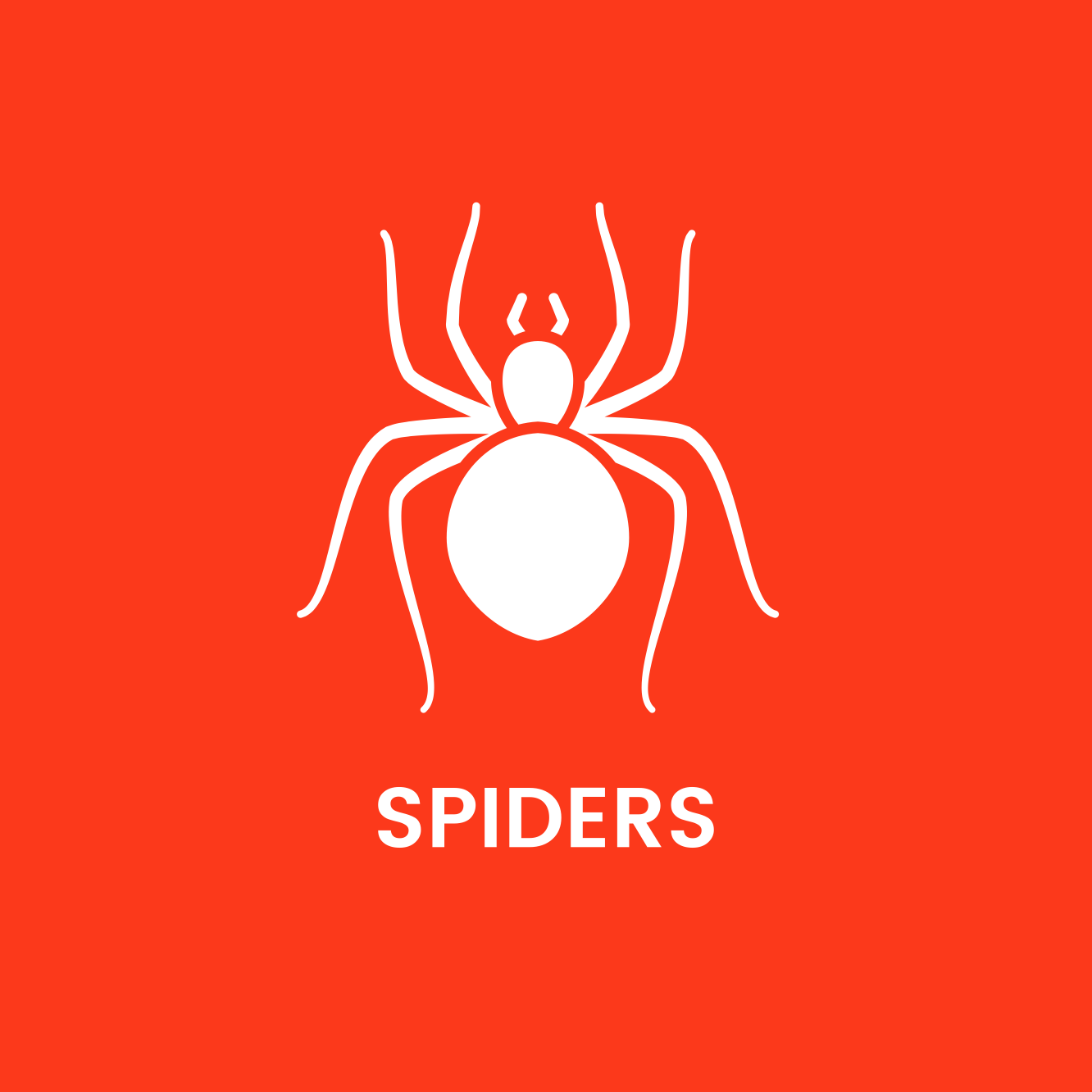 A white spider on a red background with the word spiders below it.