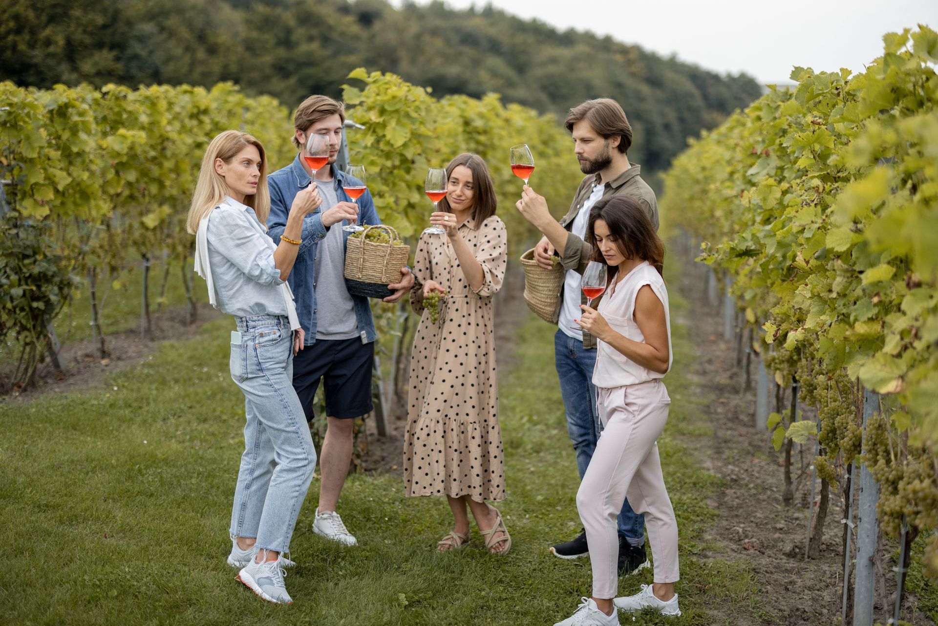 A group of people are standing in a vineyard drinking wine.