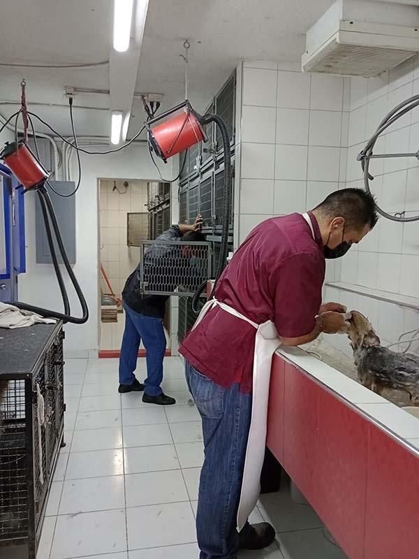 CENTRO VETERINARIO PARQUE SAN ANDRÉS