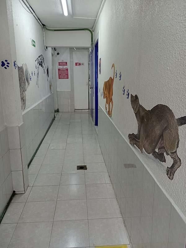 CENTRO VETERINARIO PARQUE SAN ANDRÉS