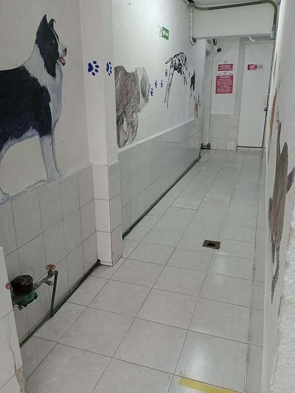 CENTRO VETERINARIO PARQUE SAN ANDRÉS