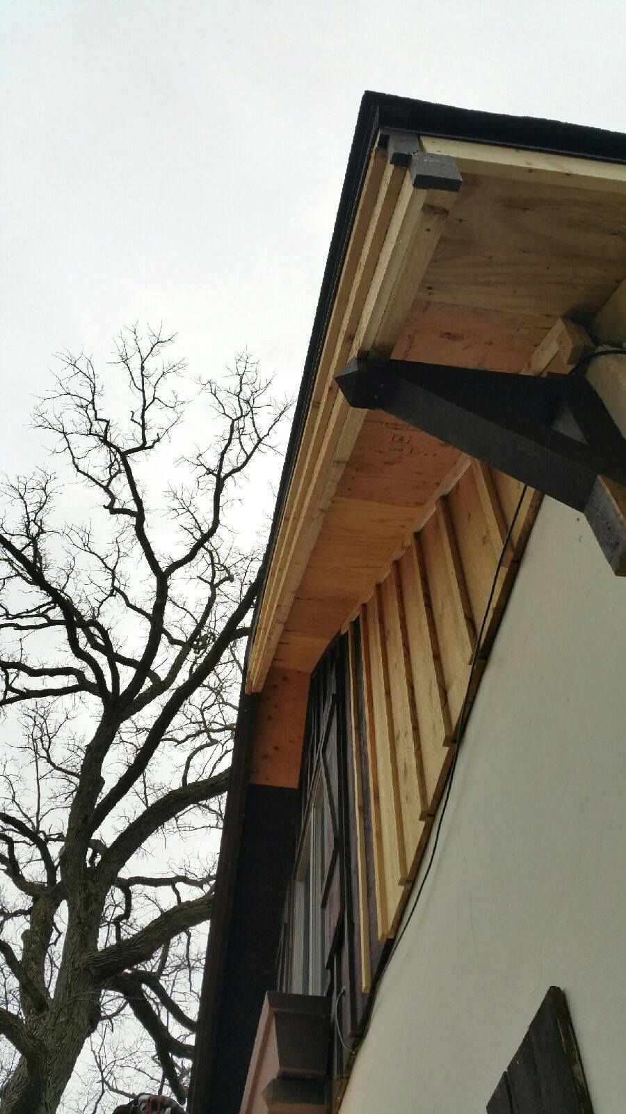 Looking up at the roof of a house with a tree in the background.
