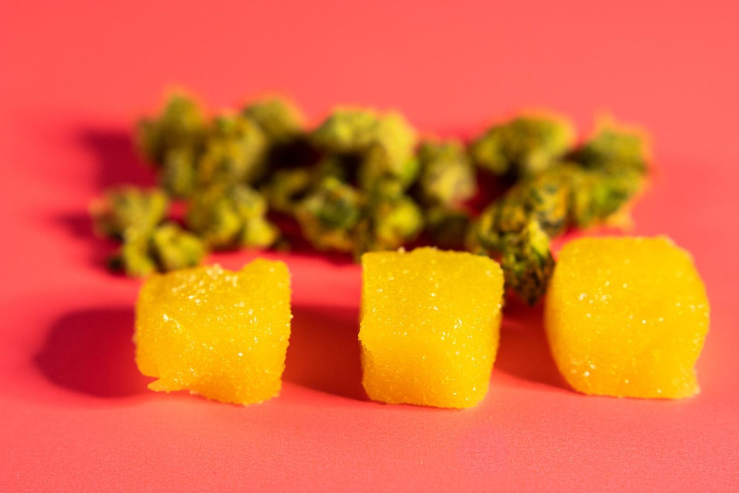 cannabis edibles