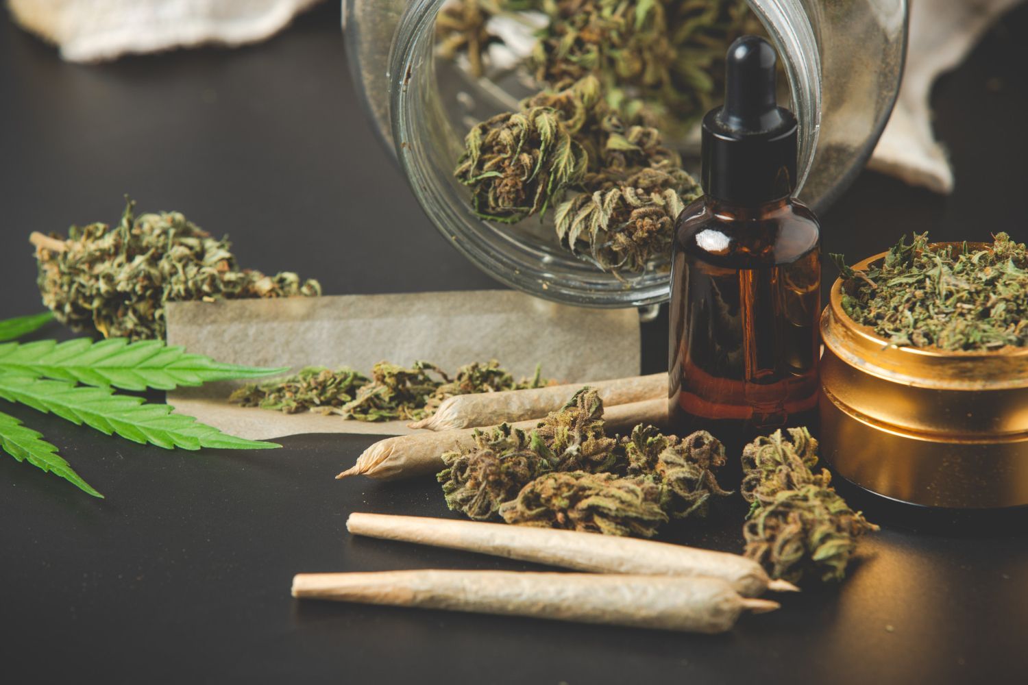 cannabis
