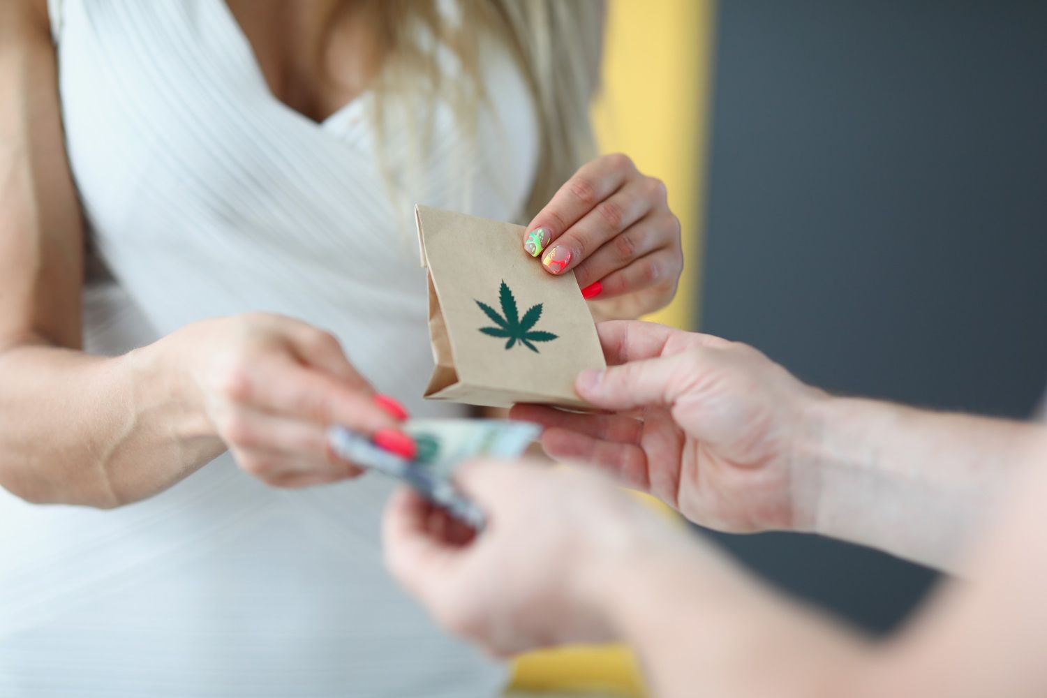 cannabis store