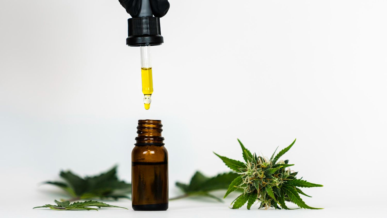 cannabis