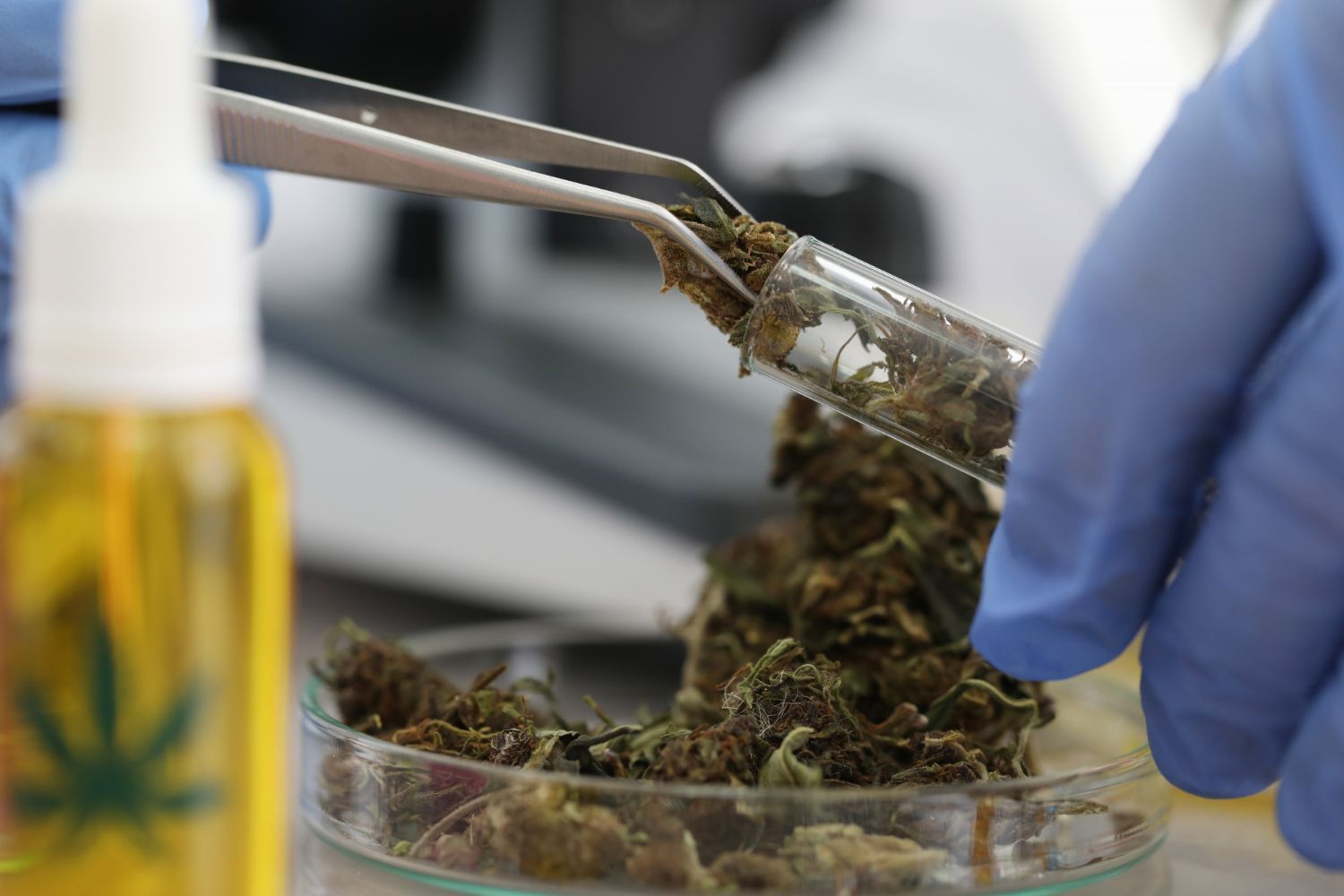 medical marijuana