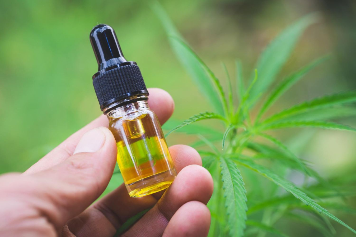 CBD oil