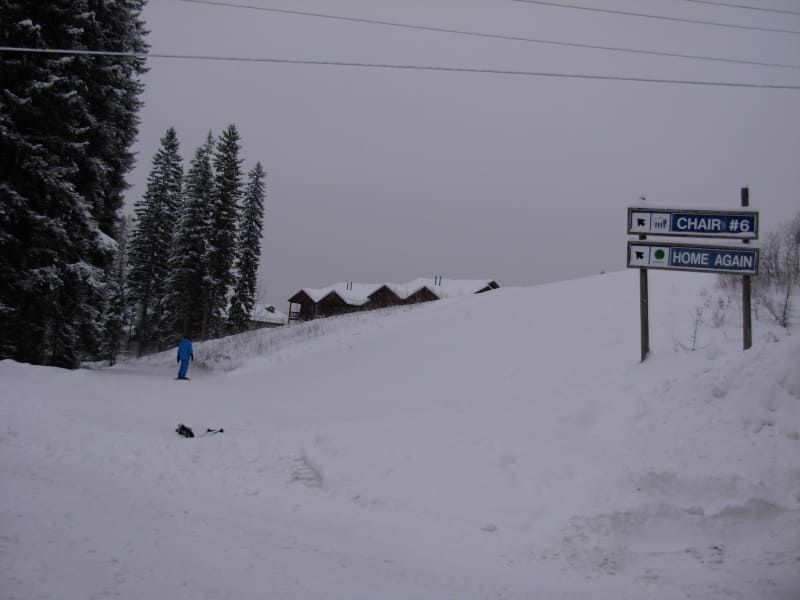 A snowy ski slope with a skier, trees, and signs pointing to 