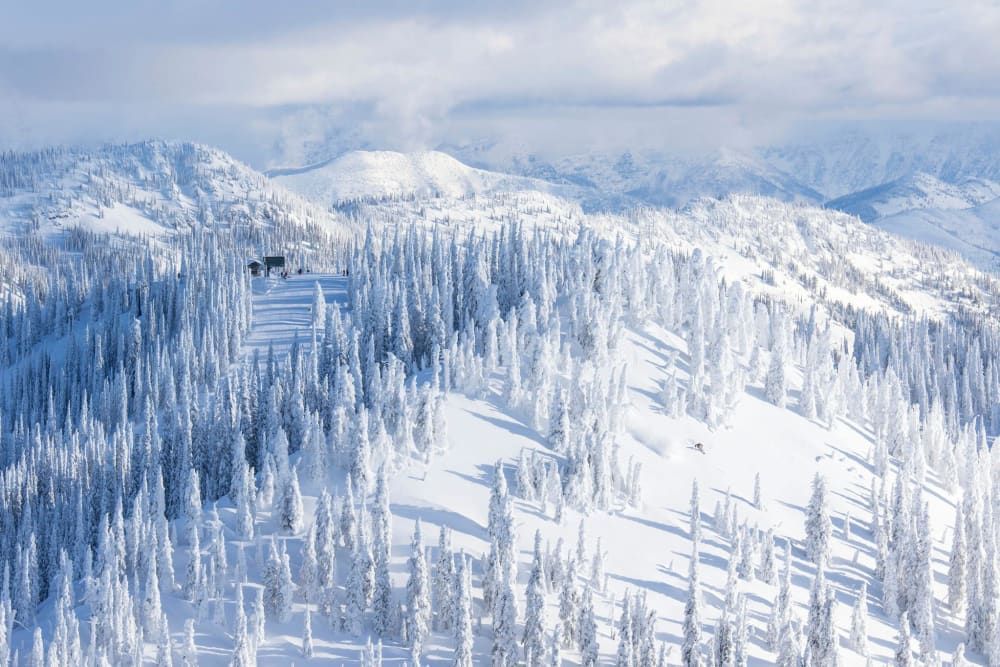 An aerial view of a snowy mountain range with trees covered in snow.