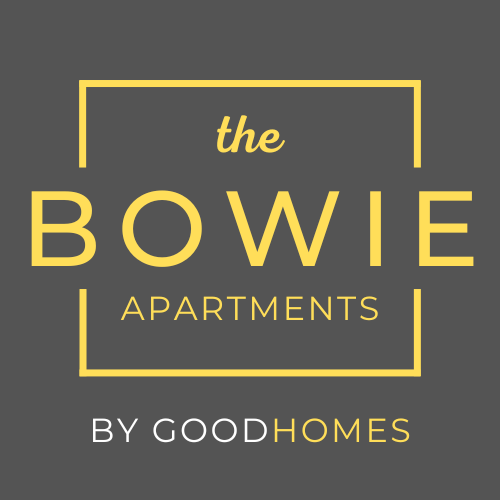 The Bowie Logo - Click to go to Home Page